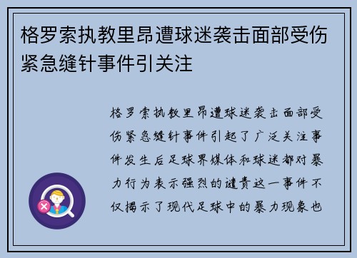 格罗索执教里昂遭球迷袭击面部受伤紧急缝针事件引关注