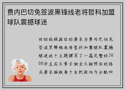 费内巴切免签波黑锋线老将哲科加盟球队震撼球迷